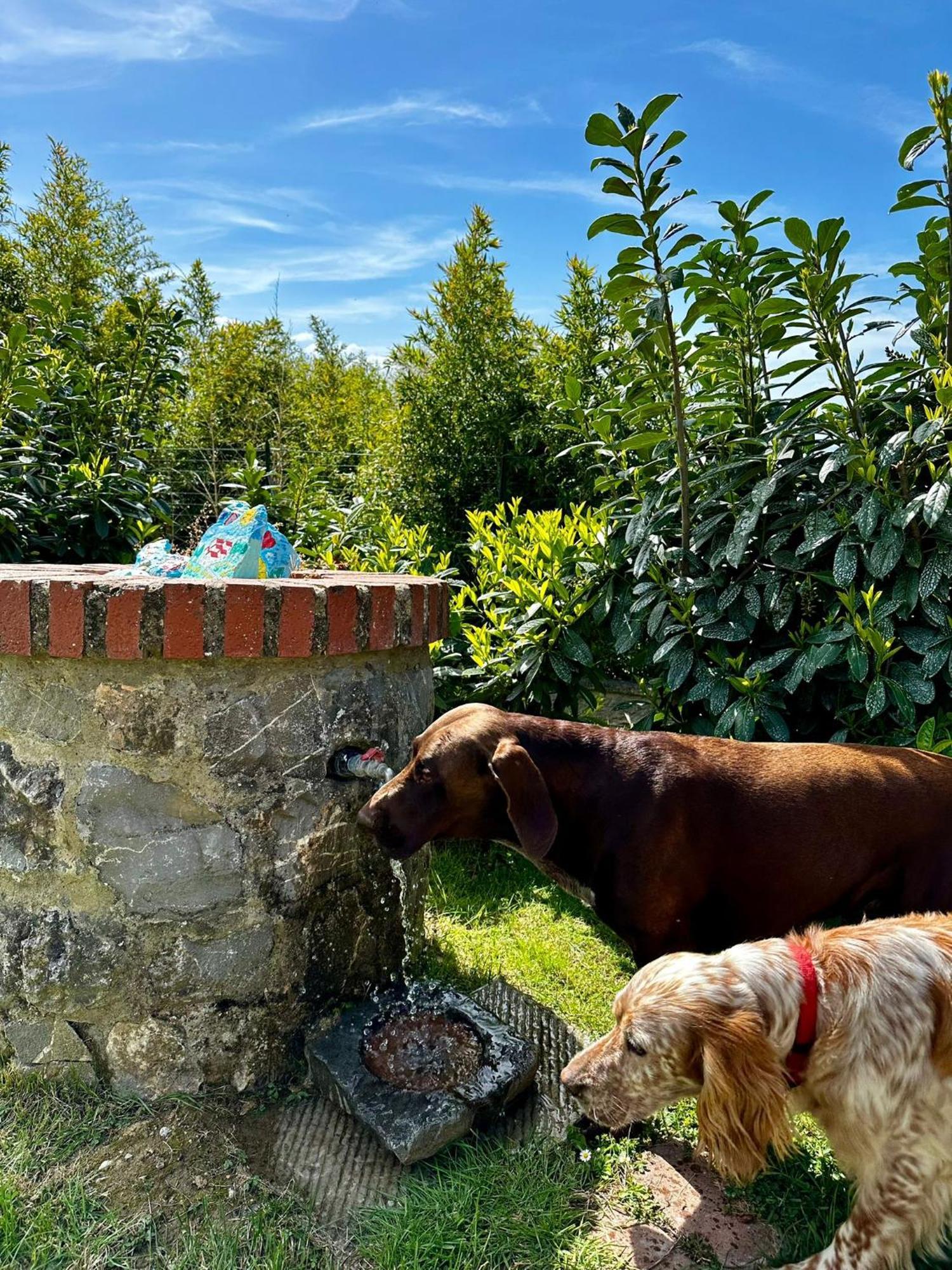 Il Villino Del Daino - Toscana Loro Ciuffenna Exterior foto